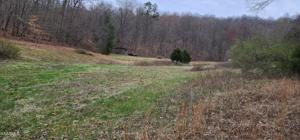 Walker Rd
