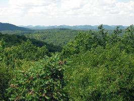 248 Indian Ridge Road 