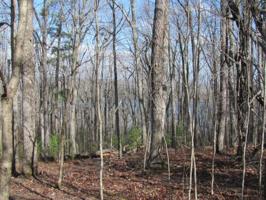 146 Markham Lane 60