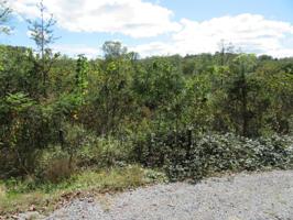 Lovely Bluff Rd 4