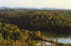 Lot 7 River Cove  7