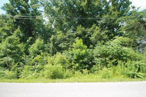 319 Snead Drive 9