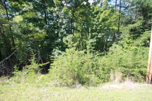 125 Valarian Drive 14
