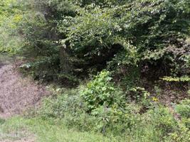 Lot 94 Mountain Shores Rd