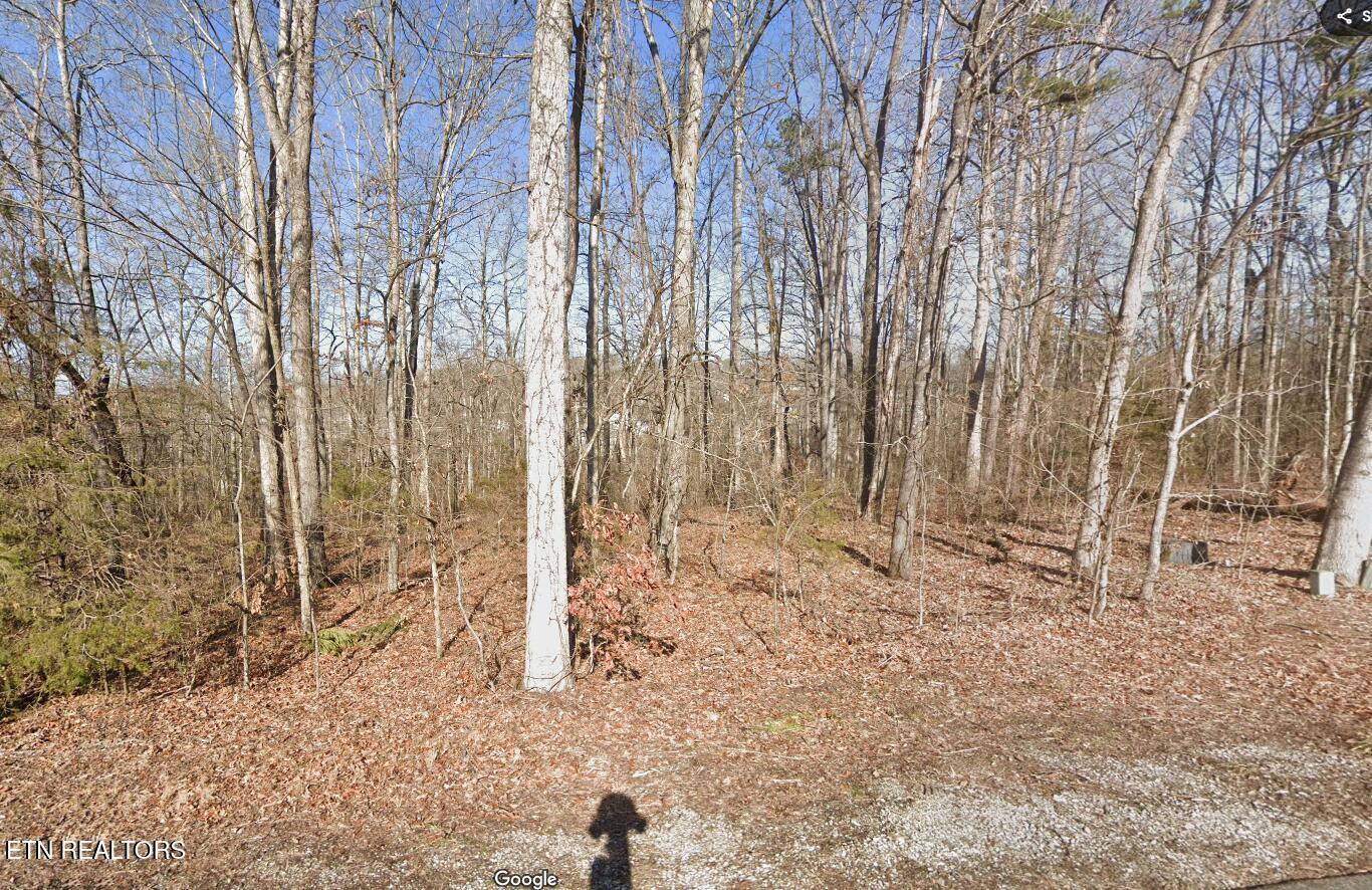 Image 1: 117 chanusi Way ground photo