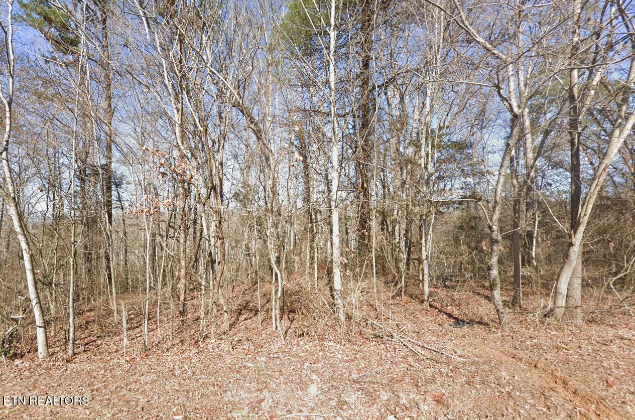 Image 1: 113 Chanusi Way ground photo
