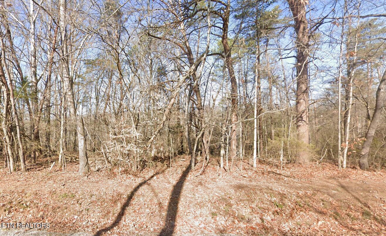 Image 1: 111 Chanusi Way