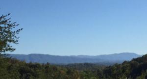 Lot 2 Meadowcove Ln, Brewer'S Cove Rd 2