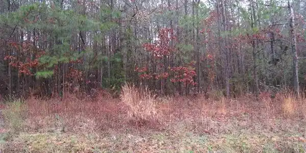 Lot 27 Lakehaven