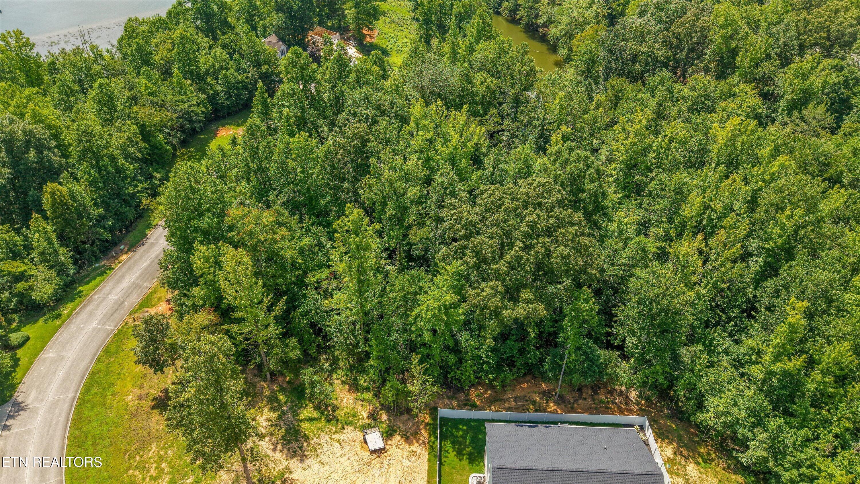 Image 2: 06-Emory Cove Dr Lot 35 05