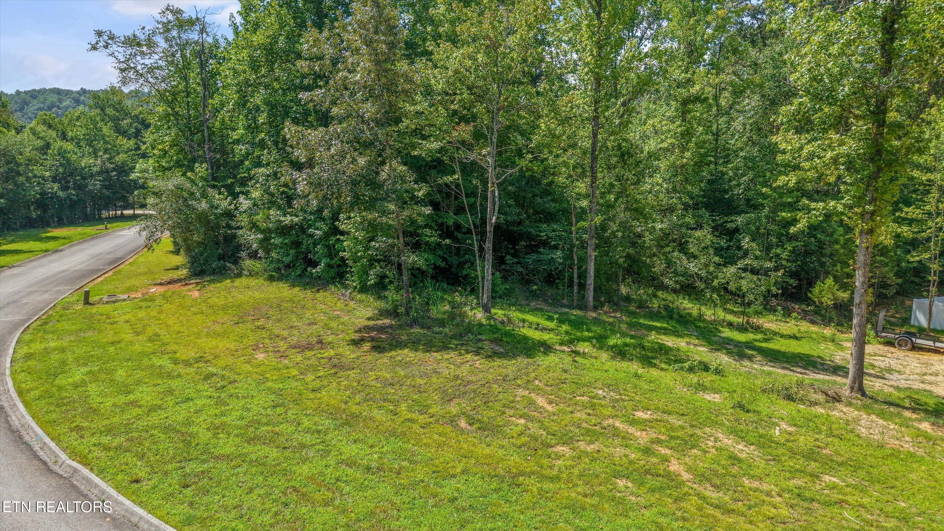 Image 4: 07-Emory Cove Dr Lot 35 07