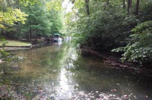 201 Meadowview Drive 175