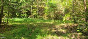 Lot 109 Timber Ridge Rd