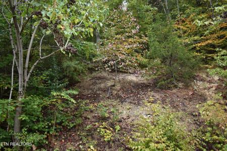 Lot 286 Bluff View Rd