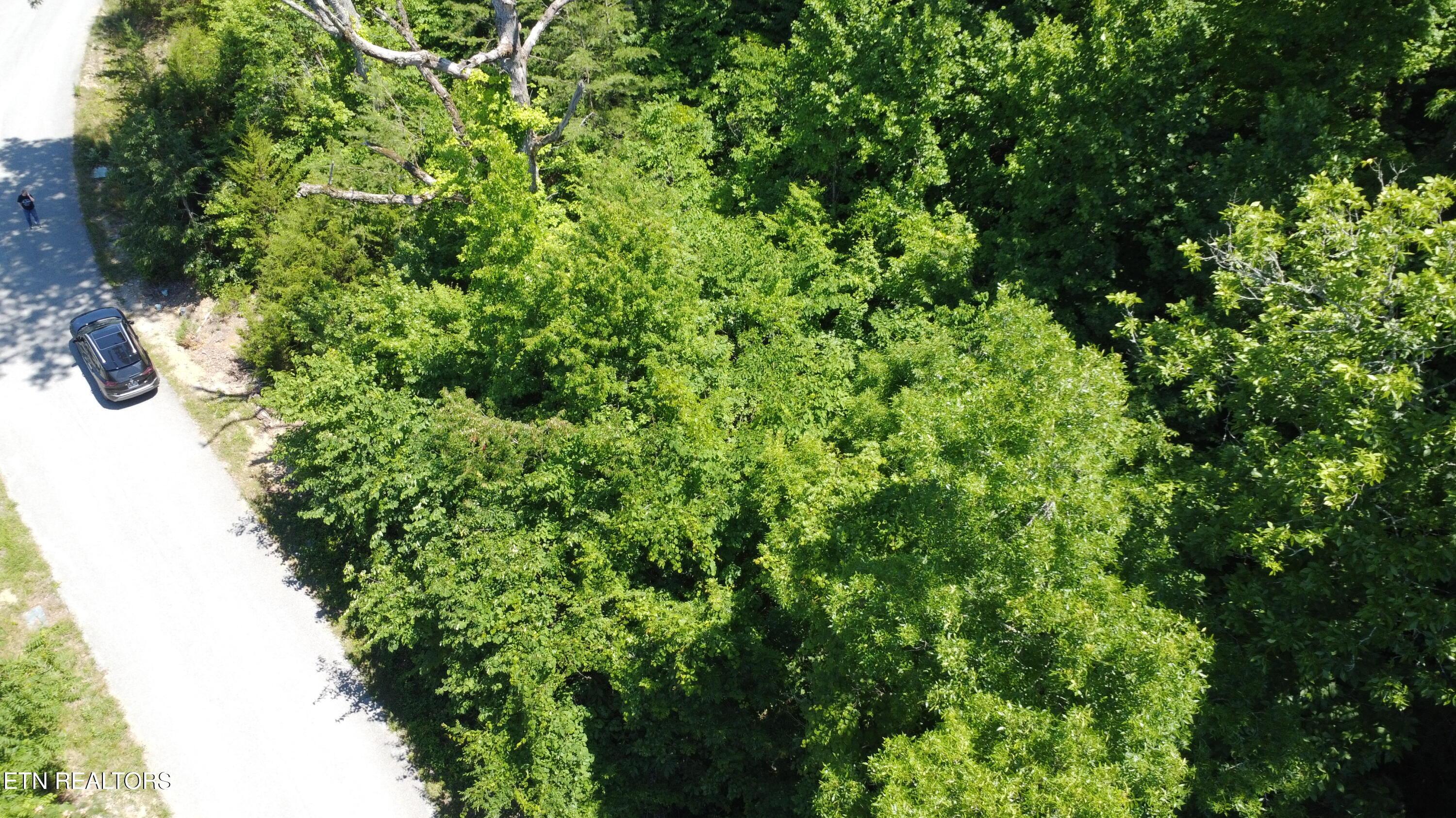 Image 3: Over Head of Lot