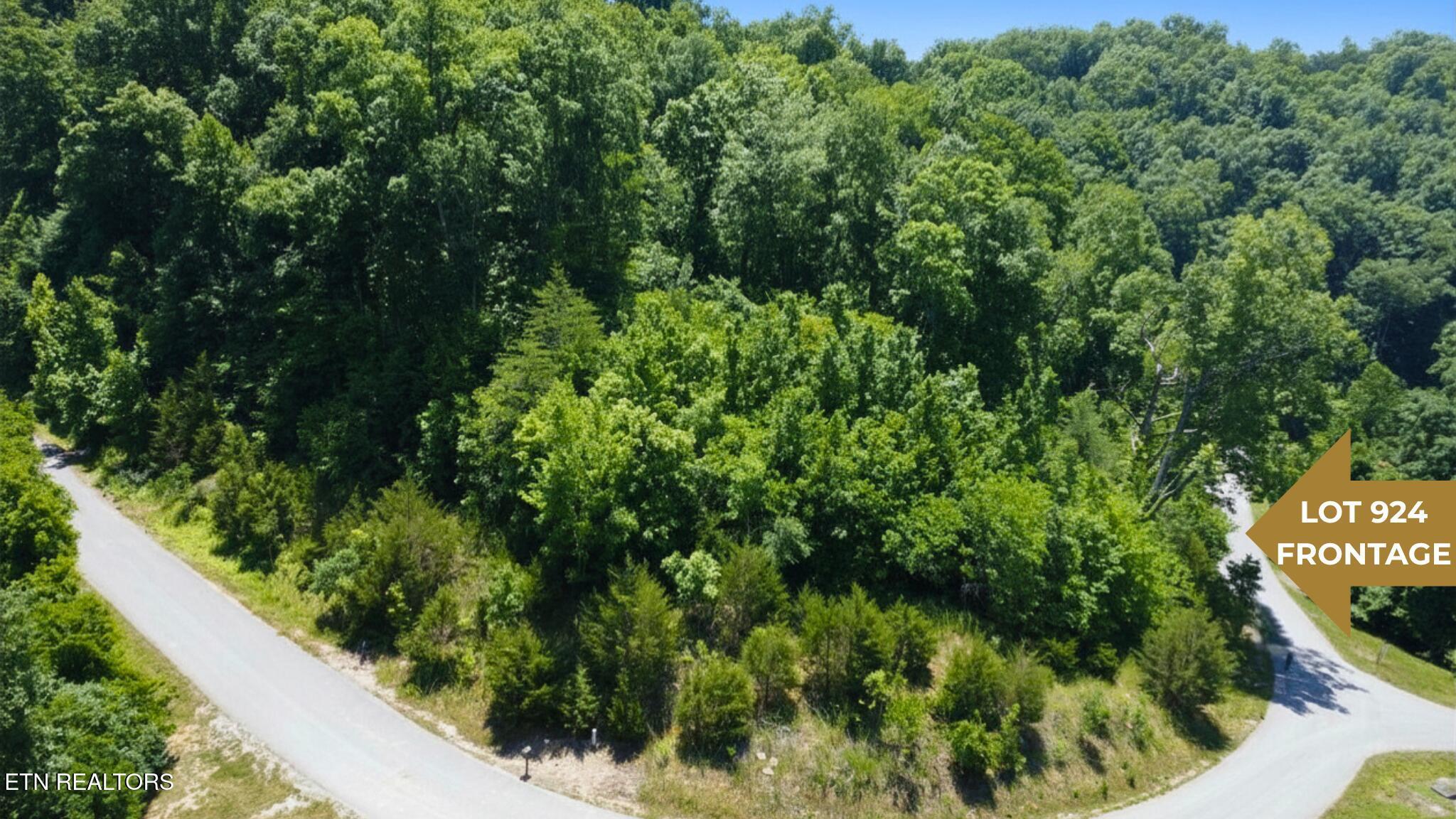 Image 4: Larayne Hollow