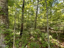 228 Bainbridge Road Rd