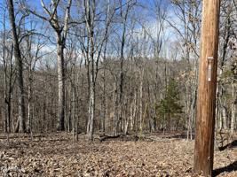 Lot 19 Twin Coves Circle