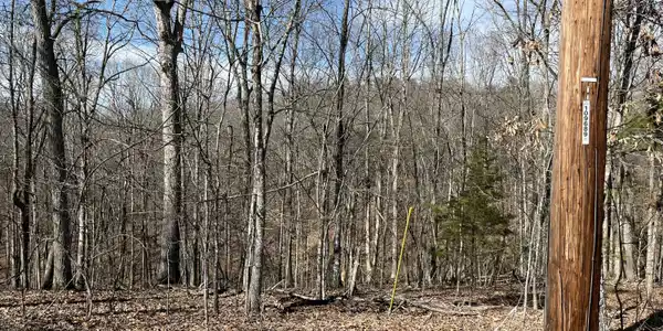 Lot 19 Twin Coves Circle