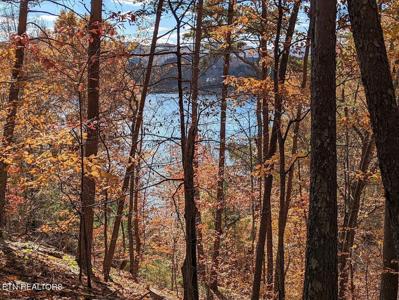 Lot 155 Emerald Point