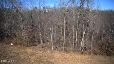 531 Cedar Gate Lane