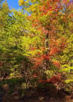 Lot 16 Terrace Milnor