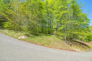 Lot 51 S Shorewood Lane