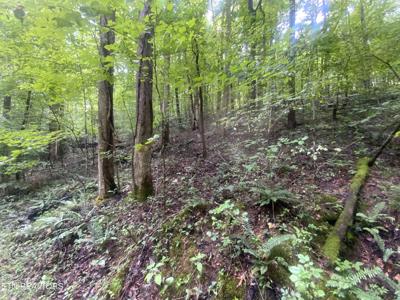 Lot 63 Hiwassee View Drive