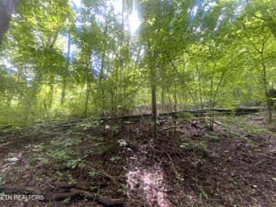 Lot 64 Hiawassee View Drive