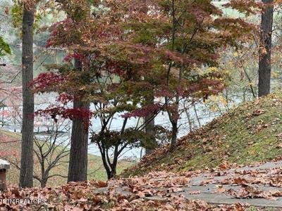 Lakewood Road  Lot 14