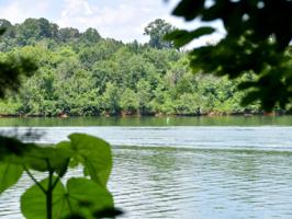 Williams Bend Rd