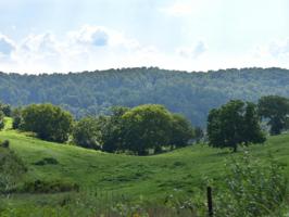 Lot 2 Williams Bend Rd 2