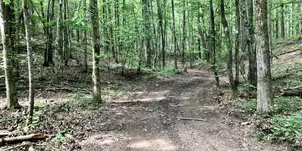 River Rd