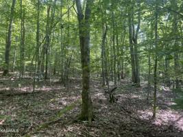 Hiwassee View Drive