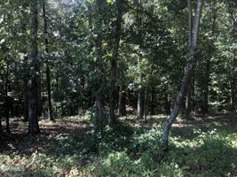 202 Shawnee Trace