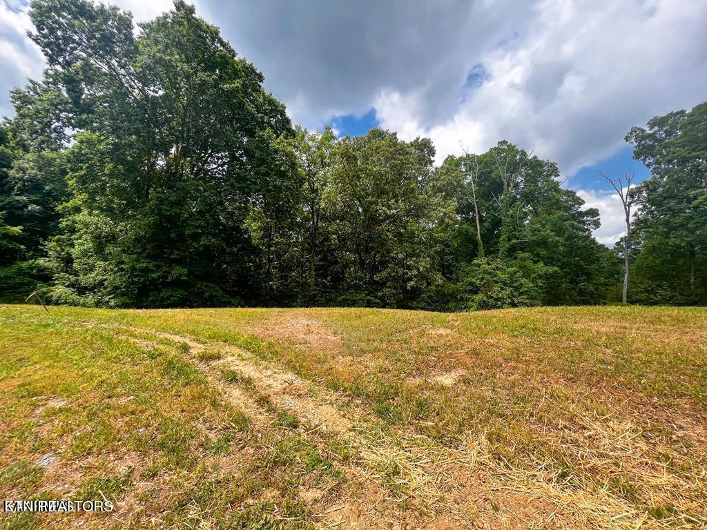 1991 Turners Landing Rd, Russellville, TN lhrmls01885845