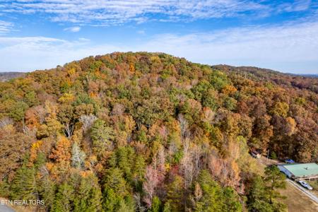 333 S Tennessee Chapel Circle