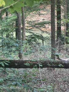 Hiwassee View - Lot 56 Drive