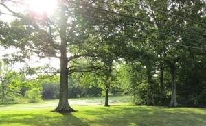 Lot 2 Dunbar Rd 2