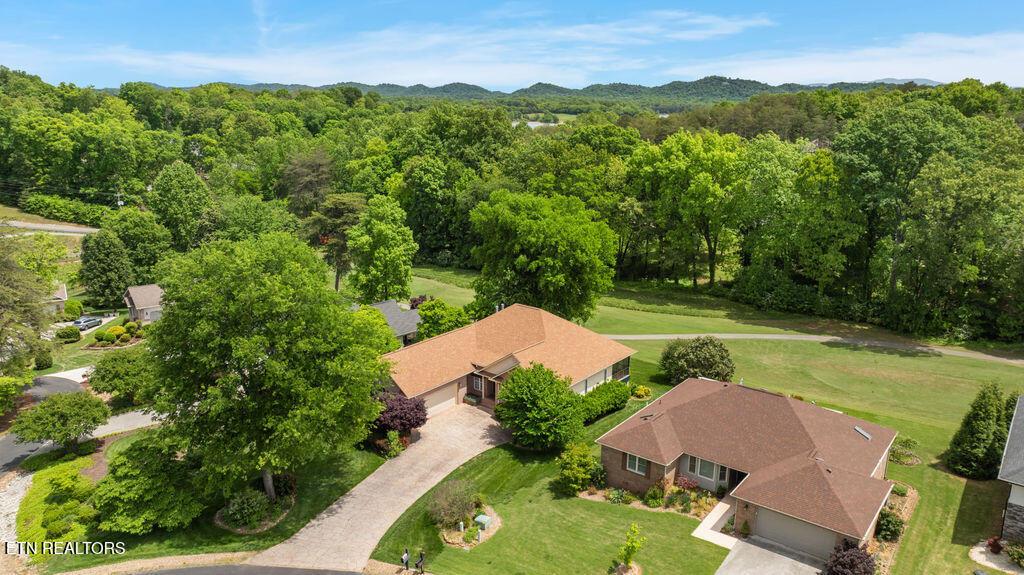 Image 3: DJI_0682