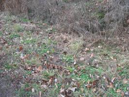 Lot 24 Lonesome Pine Loop 24
