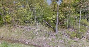 117 Pomeroy Drive 231
