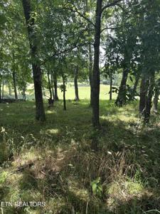 walelu trail Tr