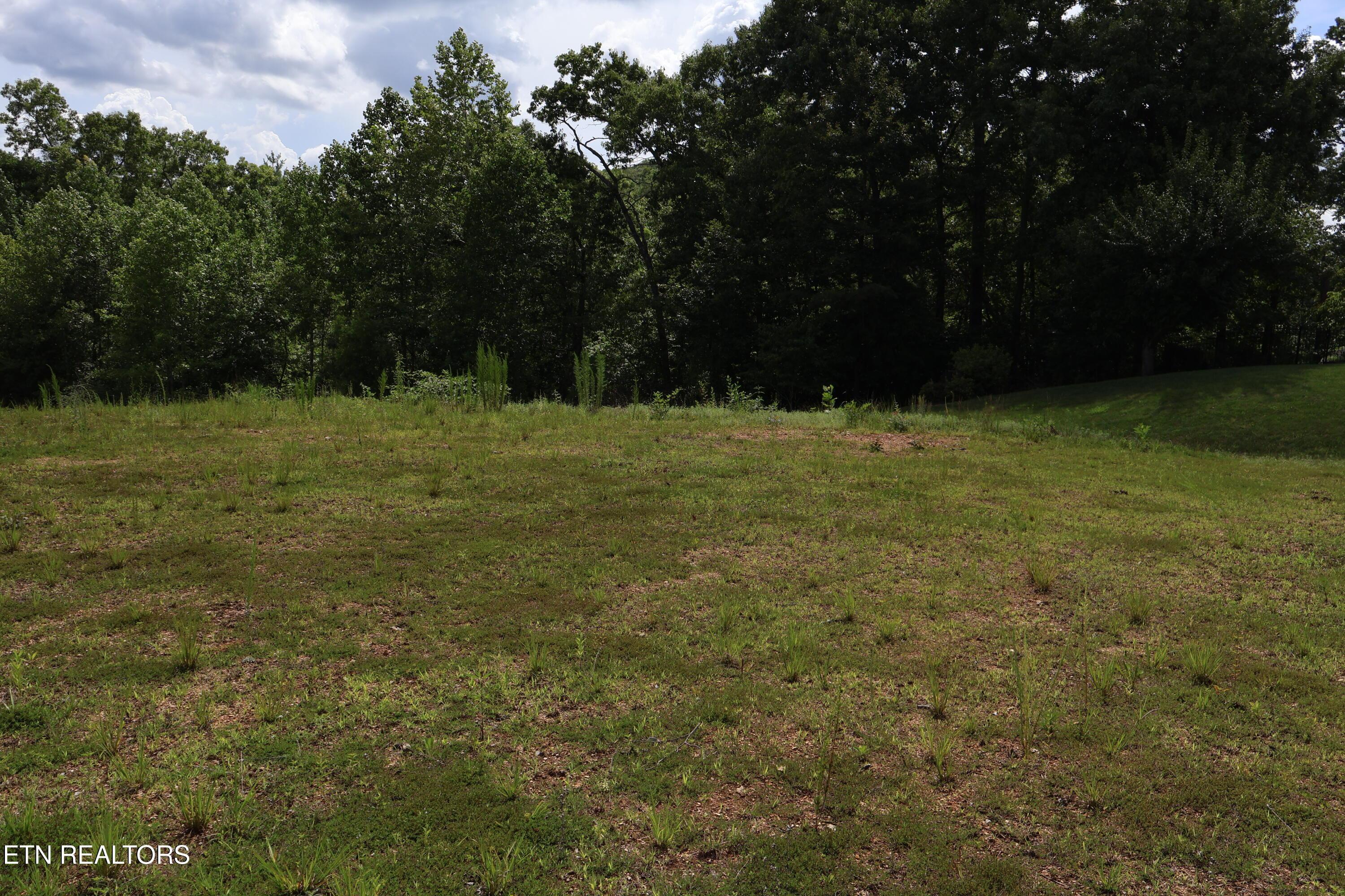 Image 4: IMG_0292