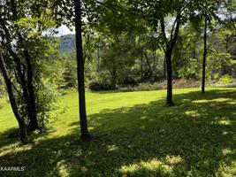Lot 7 Wild Turkey Lane