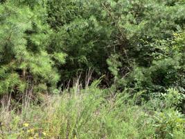 Lot 53 L 53 Lakeview Dr.