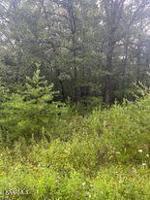 103 Flathead Circle