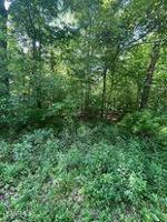 4031 Desoto Drive
