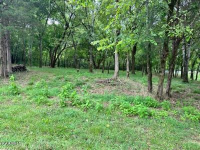 Lot 2 Kanati Tr