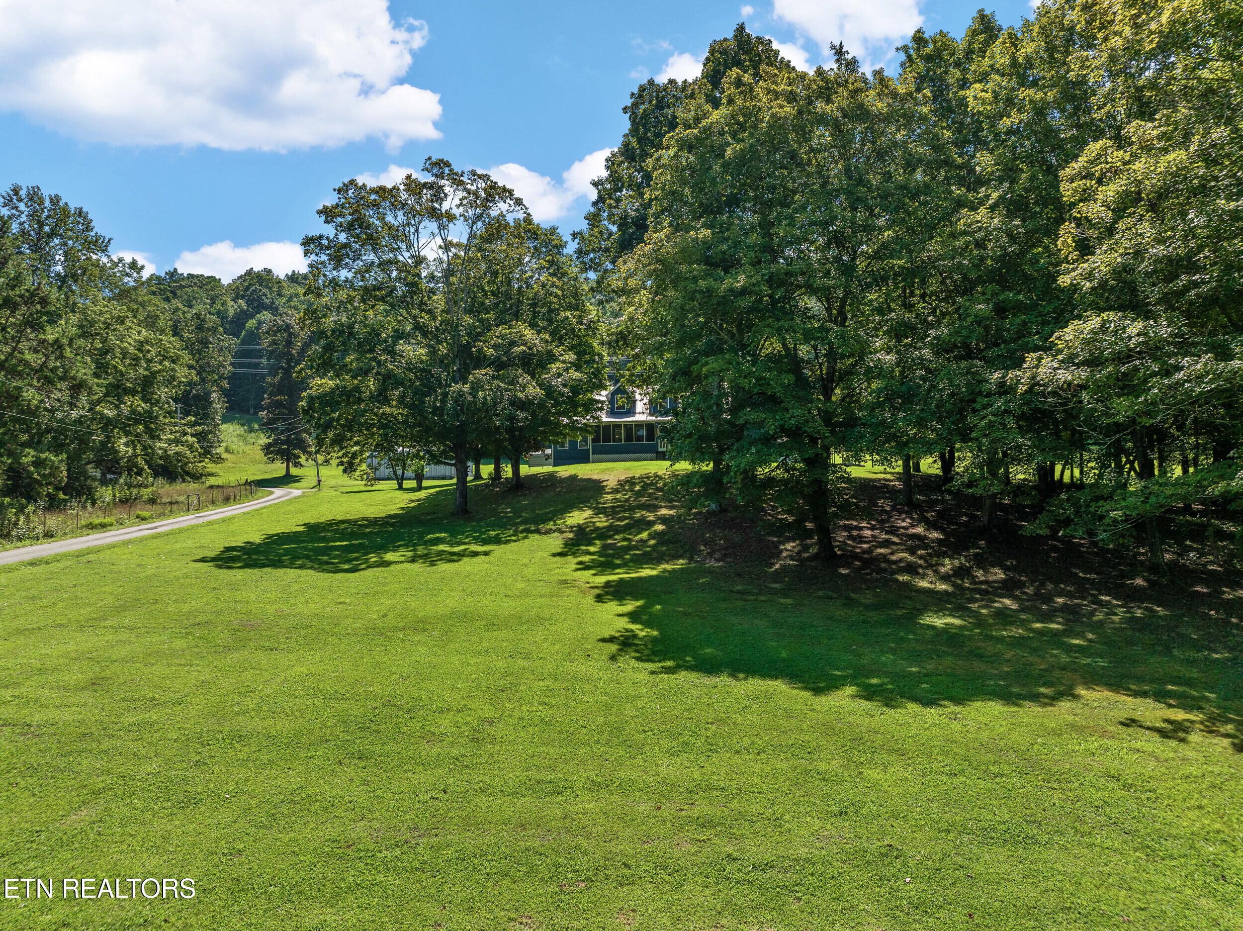 Image 3: 110 halcomb drive-3